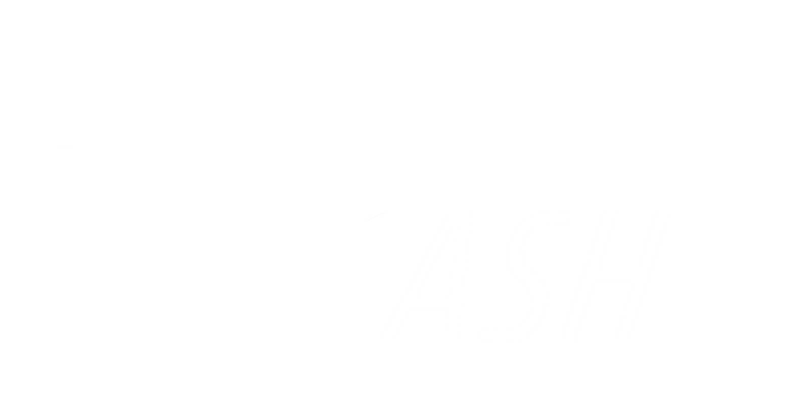 ForzaDash