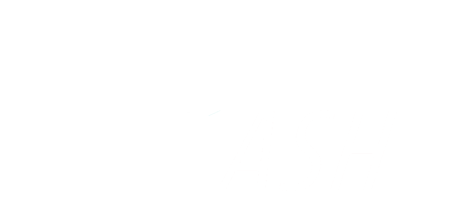ForzaDash